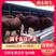 西门塔尔牛十头送一头西门塔尔种牛公牛小母牛怀孕母牛