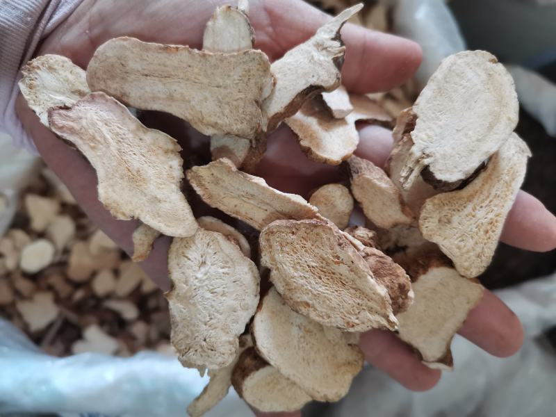 白术河北地产实心干品批发零售一公斤起发货