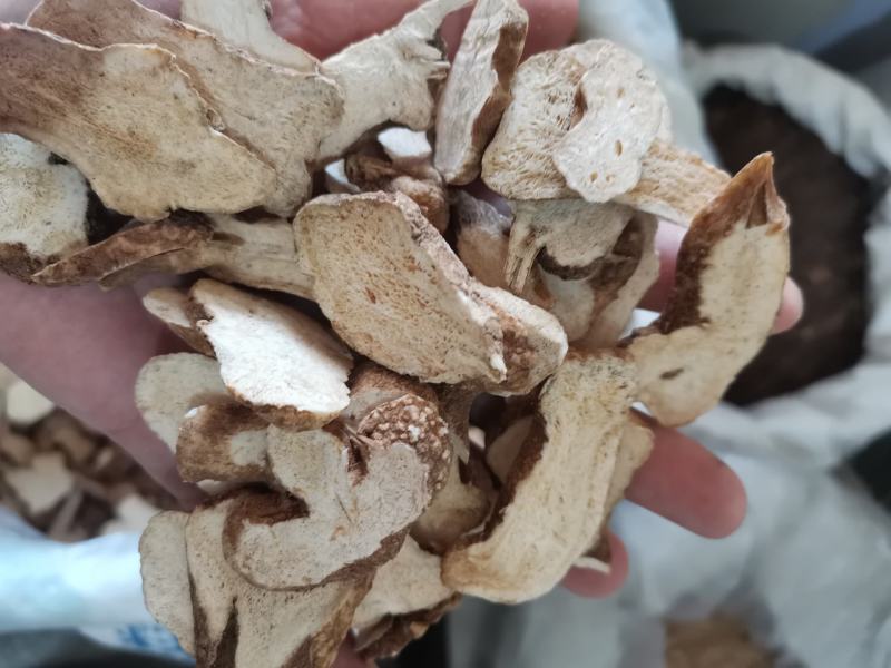 白术河北地产实心干品批发零售一公斤起发货