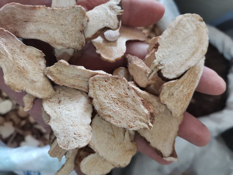 白术河北地产实心干品批发零售一公斤起发货