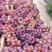 果汁厂夏黑葡萄，红黑半红大量有货日发3000吨。欢迎联系