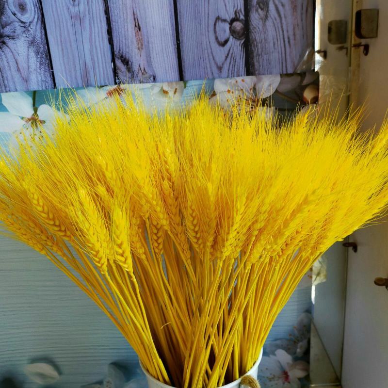 天然麦穗干花花束开业大麦客厅田园装饰摆件干花插花拍摄道具