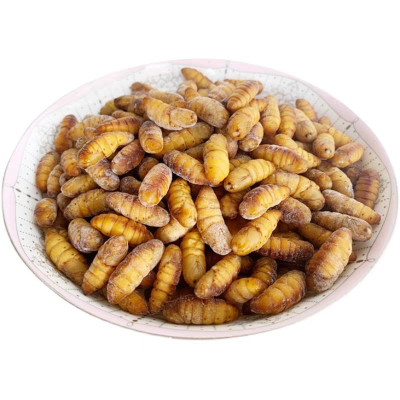 蚕蛹，金丝蚕蛹