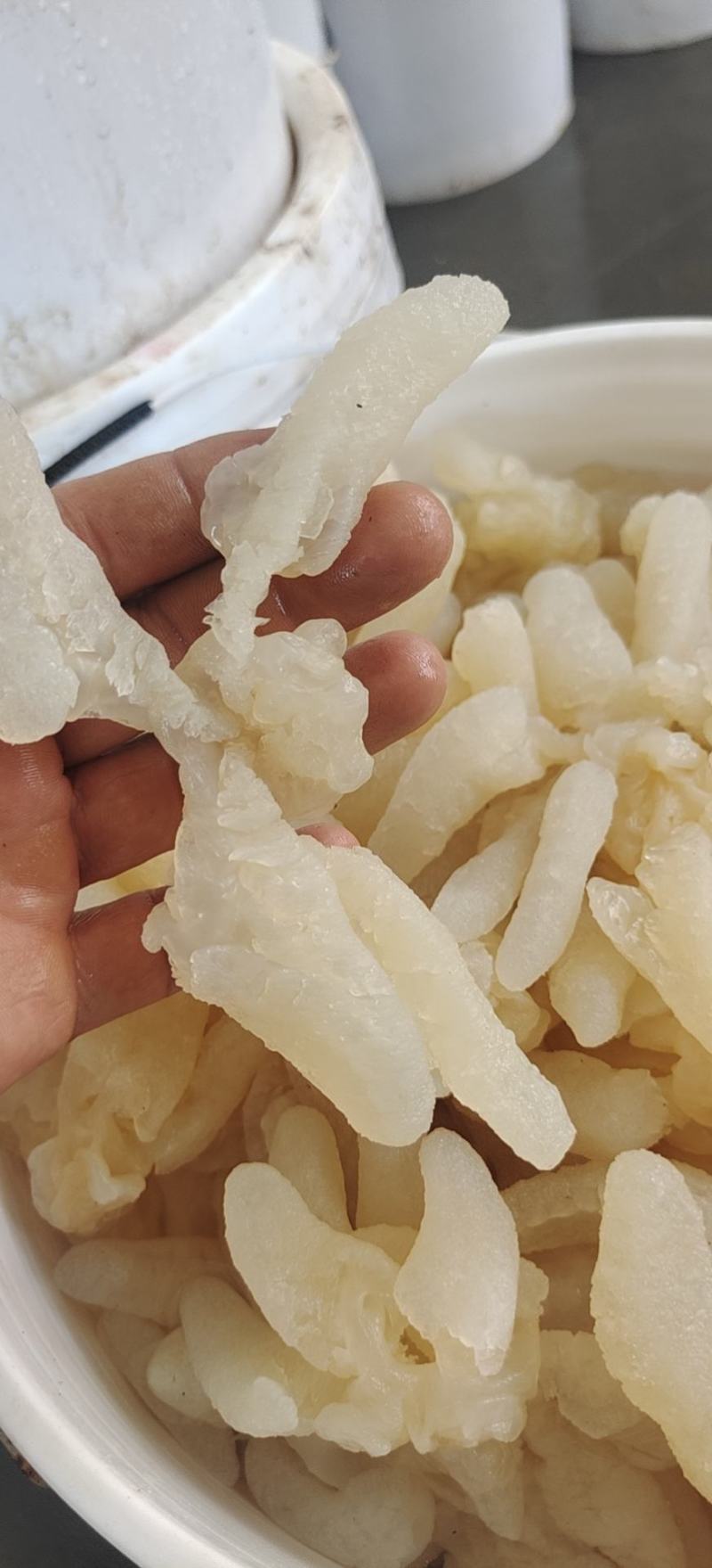 海蜇头爪脆劲道清口凉拌菜佳选酒店餐馆食堂好食材