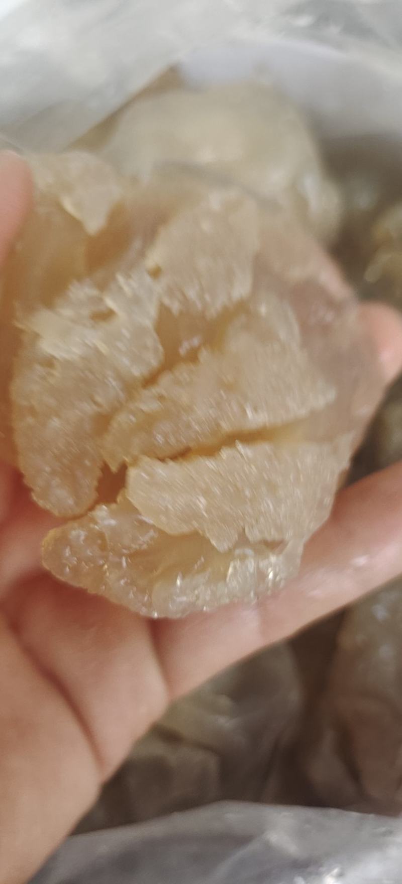 海蜇头爪脆劲道清口凉拌菜佳选酒店餐馆食堂好食材