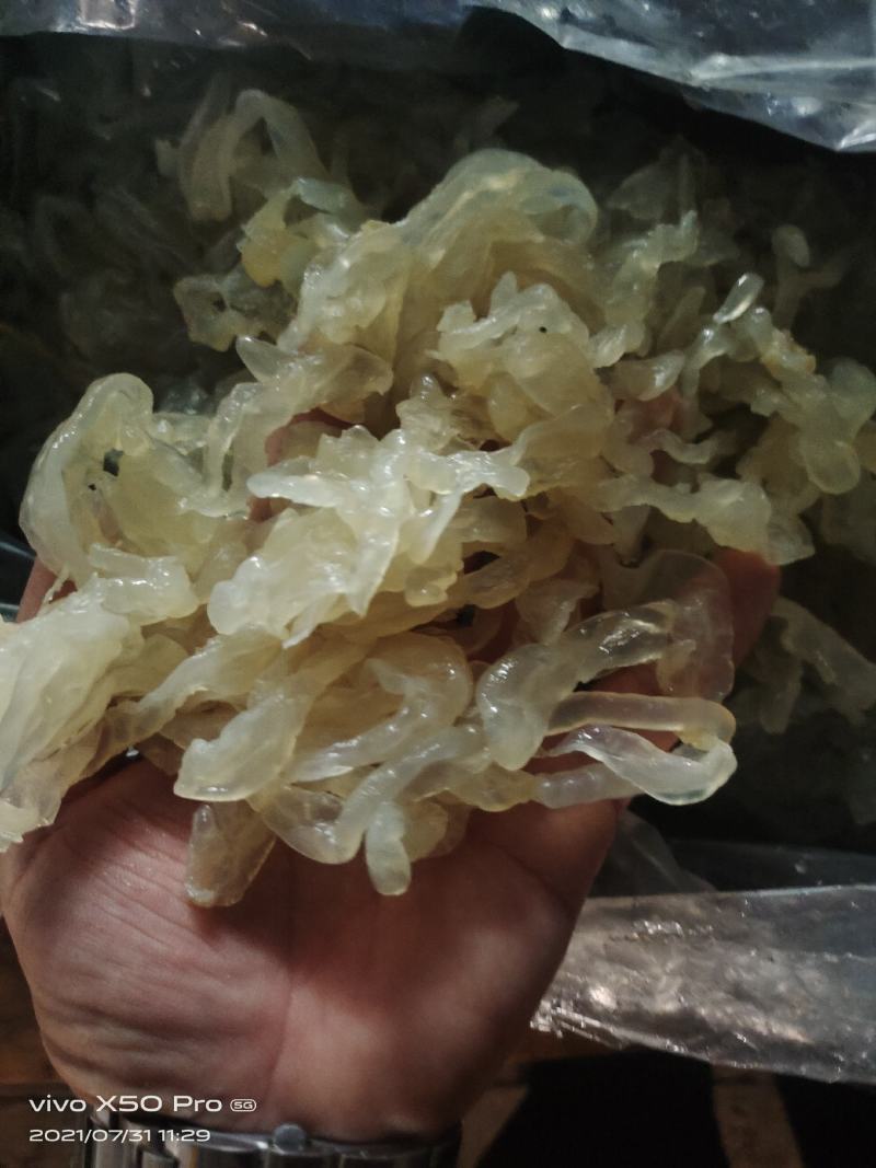 海蜇白花丝麻蛰丝配以佐料清脆爽口酒店餐馆好食材