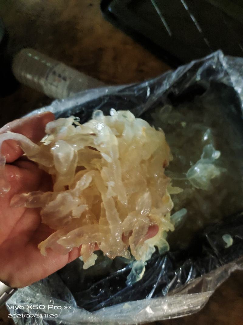 海蜇白花丝麻蛰丝配以佐料清脆爽口酒店餐馆好食材