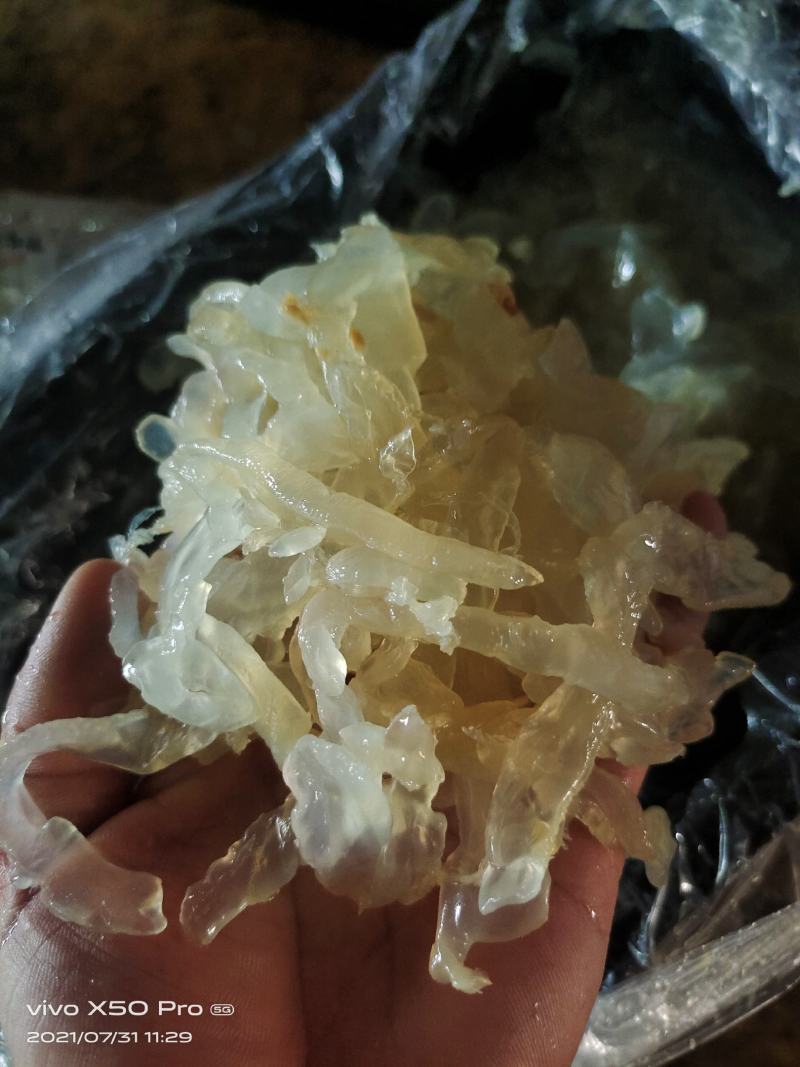 海蜇白花丝麻蛰丝配以佐料清脆爽口酒店餐馆好食材