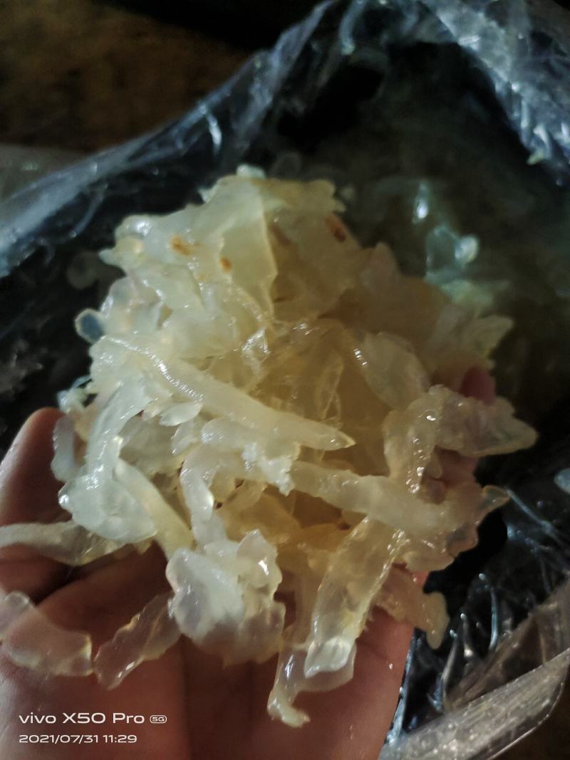 海蜇白花丝麻蛰丝配以佐料清脆爽口酒店餐馆好食材