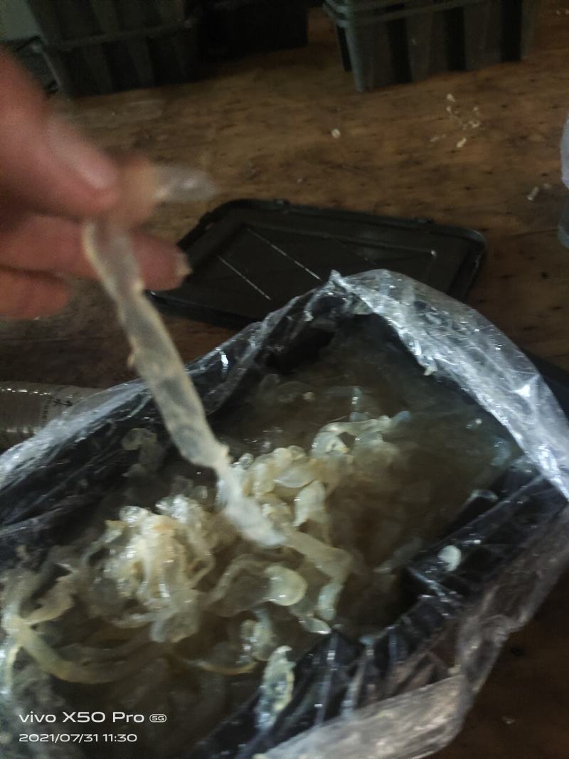 海蜇白花丝麻蛰丝配以佐料清脆爽口酒店餐馆好食材