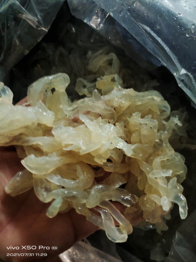 海蜇白花丝麻蛰丝配以佐料清脆爽口酒店餐馆好食材