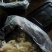 海蜇白花丝麻蛰丝配以佐料清脆爽口酒店餐馆好食材