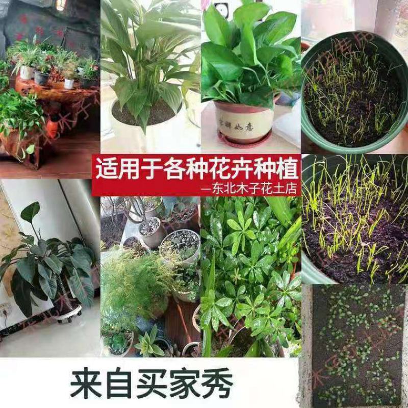 通用型营养土30斤种菜土花土种花养花种植土壤多肉绿萝种植