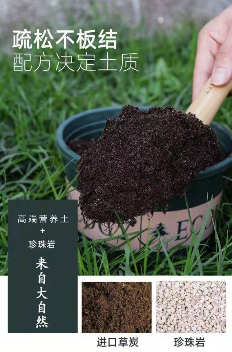 通用型营养土30斤种菜土花土种花养花种植土壤多肉绿萝种植