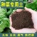 通用型营养土30斤种菜土花土种花养花种植土壤多肉绿萝种植