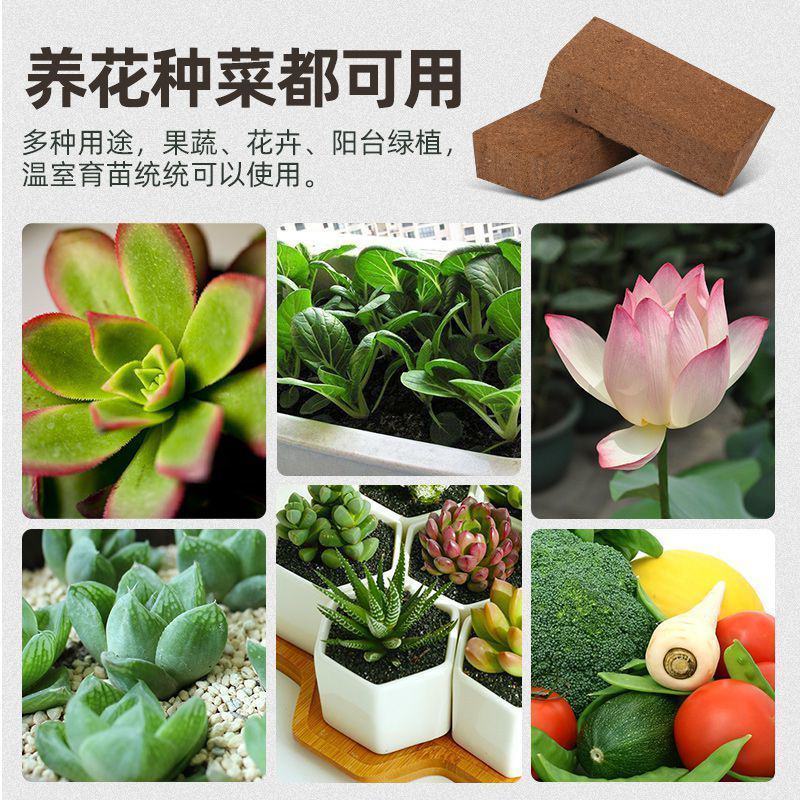 特价包邮椰砖营养土花土兰花专用土养花土通用有机肥料多肉盆