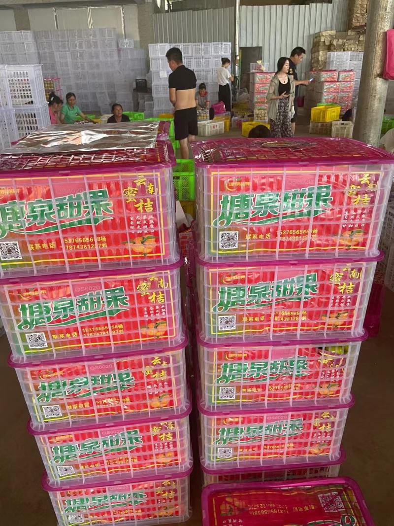 大芬蜜橘，口感非常不错，无任何中间商，支持发货