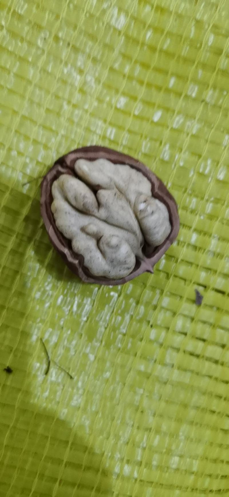 干核桃，大优一号，盐源早一号，剥皮核桃，薄皮核桃