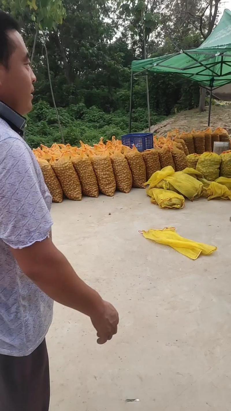 河北石家庄光核核桃湿鲜香可口