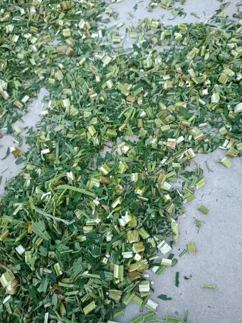 【畅销】益母草，诚信经营，欢迎采购商前来咨询采购