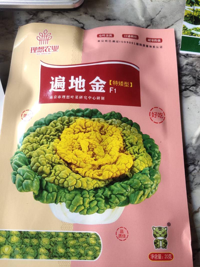 特矮型，黄心及早，遍地金，包子实，半包心，