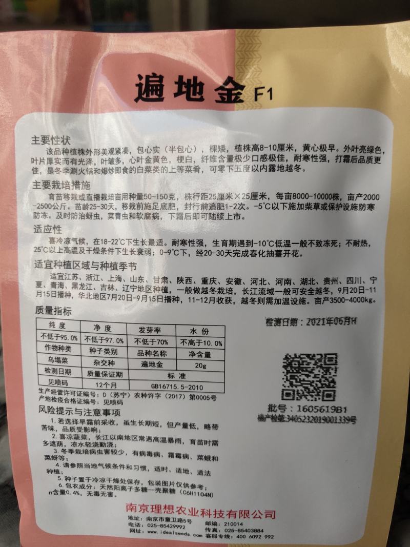 特矮型，黄心及早，遍地金，包子实，半包心，
