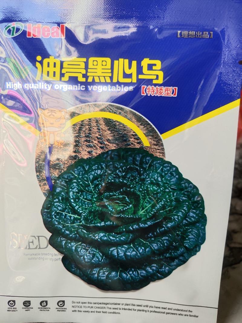 黑心乌种子，特矮型，乌塌菜