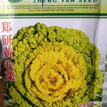 黄心菜种子。
