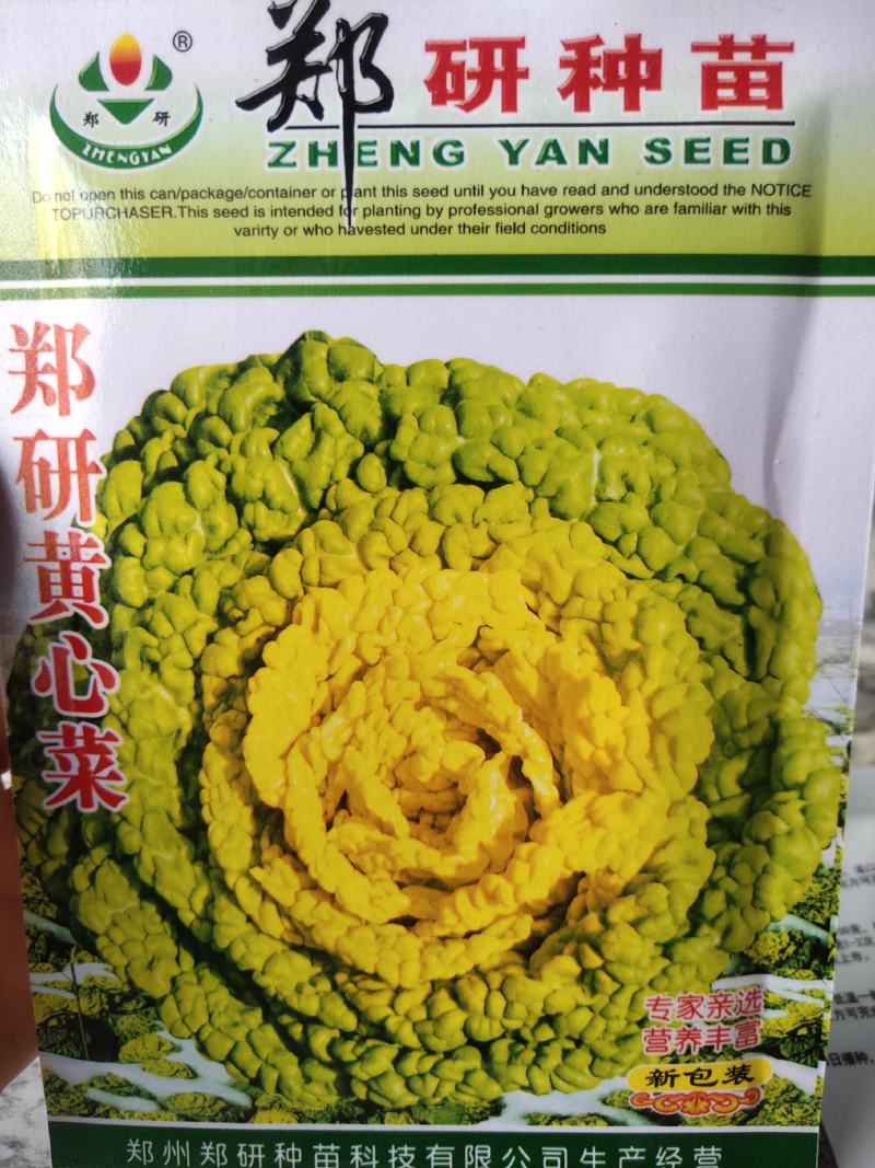 黄心菜种子。