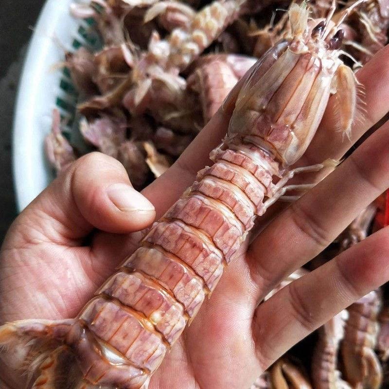 熟冻皮皮虾虾爬子活体加工（只只包肥）/盒装包肥