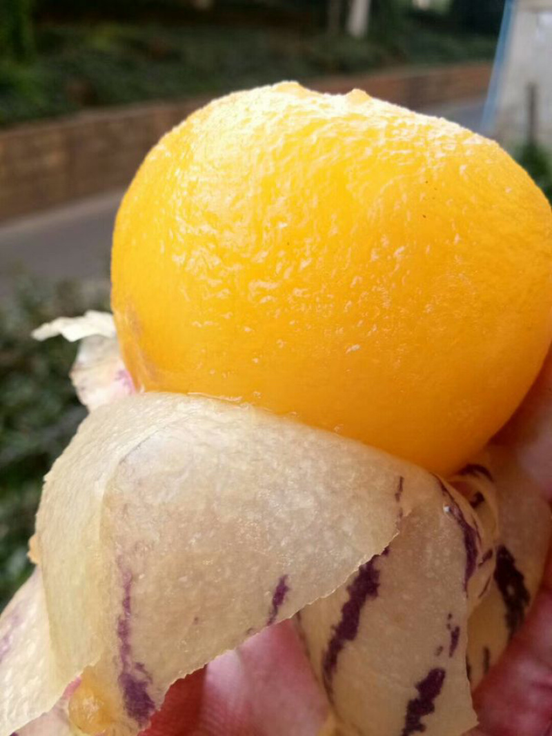 石林人参果