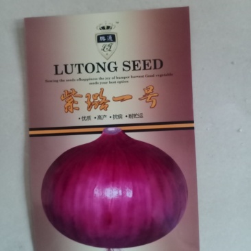 紫璐一号