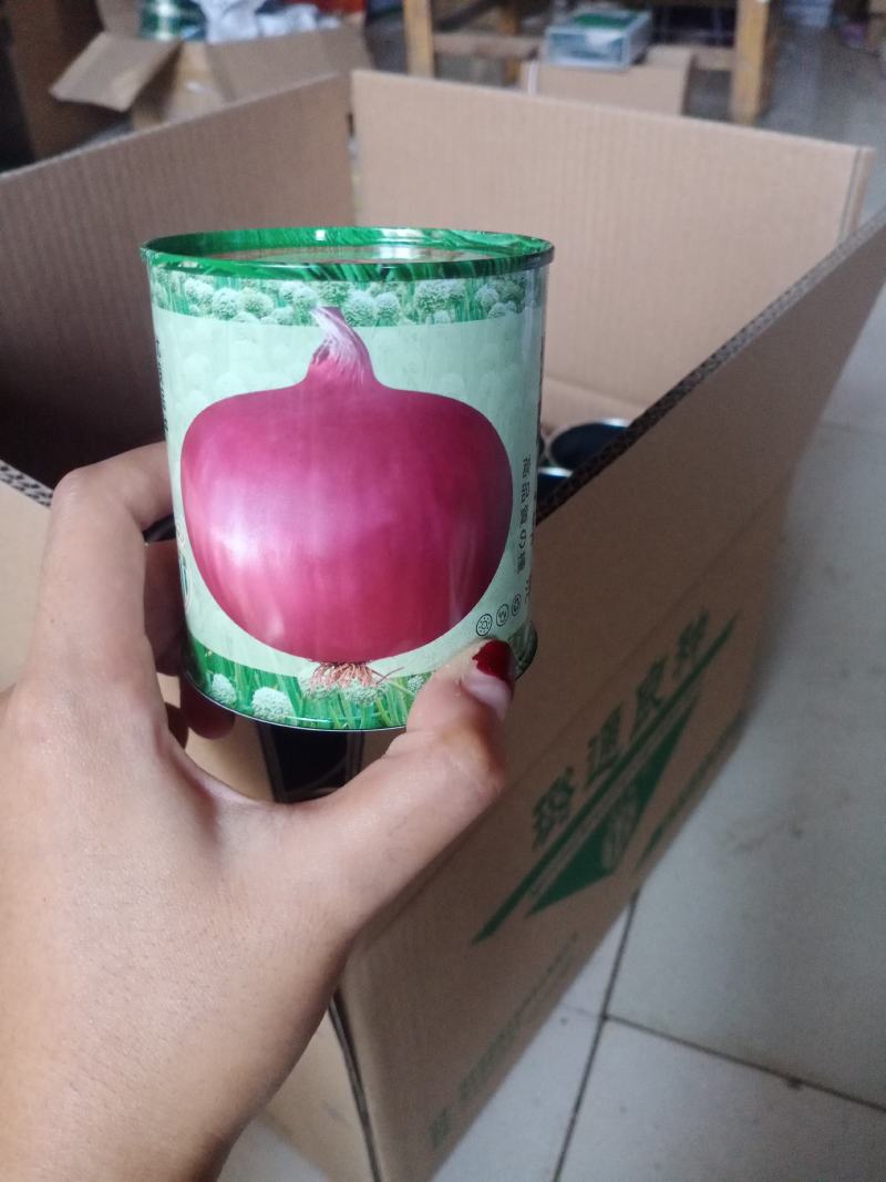 紫璐三号
