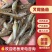 叉尾鱼苗大量有货常年供应欢迎全国老板采购
