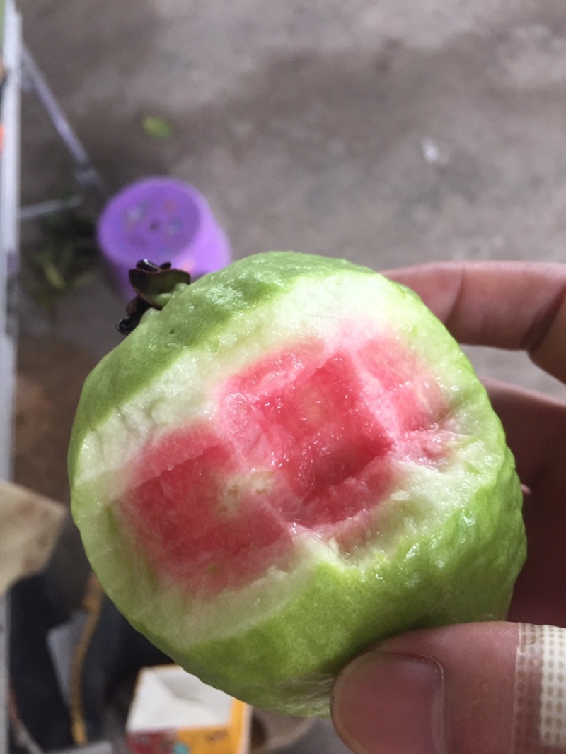 珍珠西瓜红石榴，甜度适中，味道脆脆…