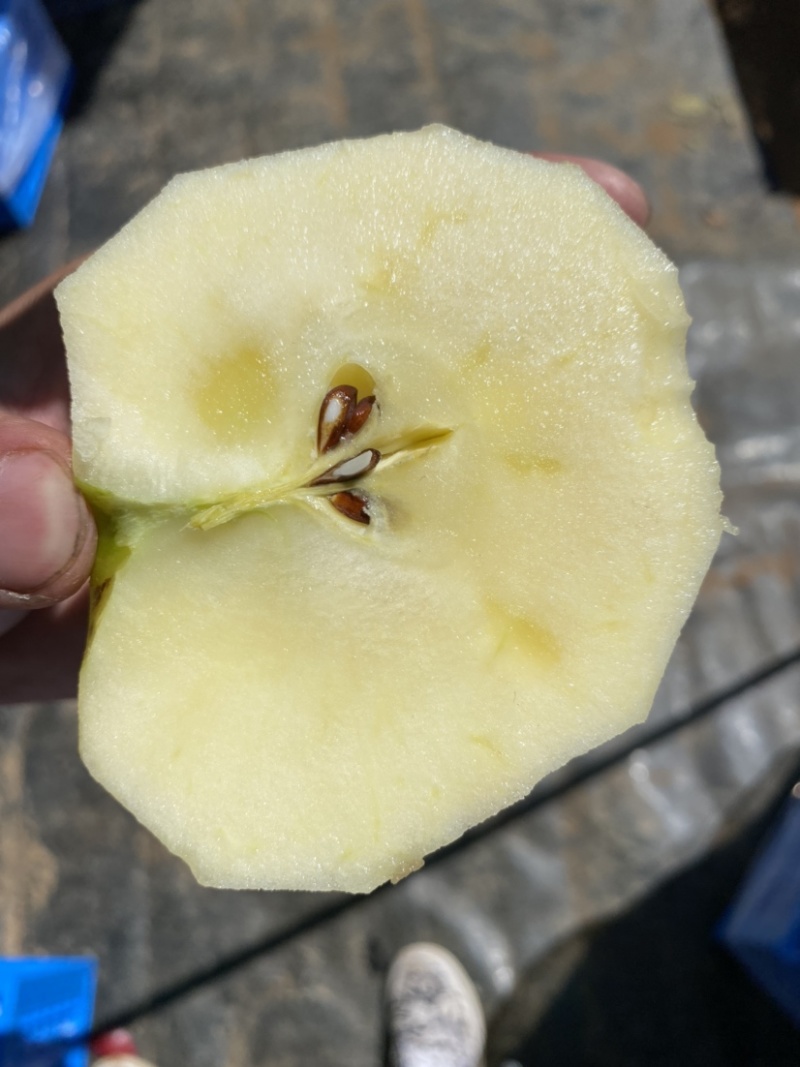 我是代办华硕苹果大量走货中有需要的老板赶快联系我哦