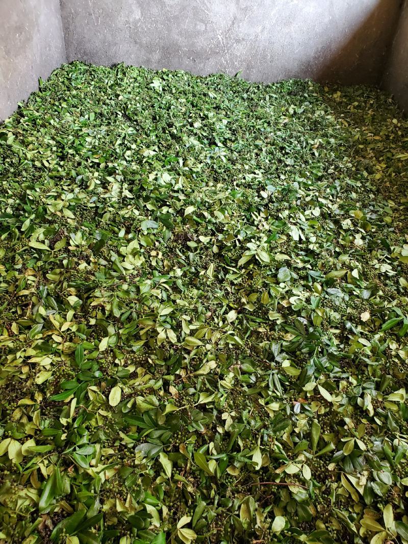 2022年干青花椒产地直销，麻香味十足，物美价廉