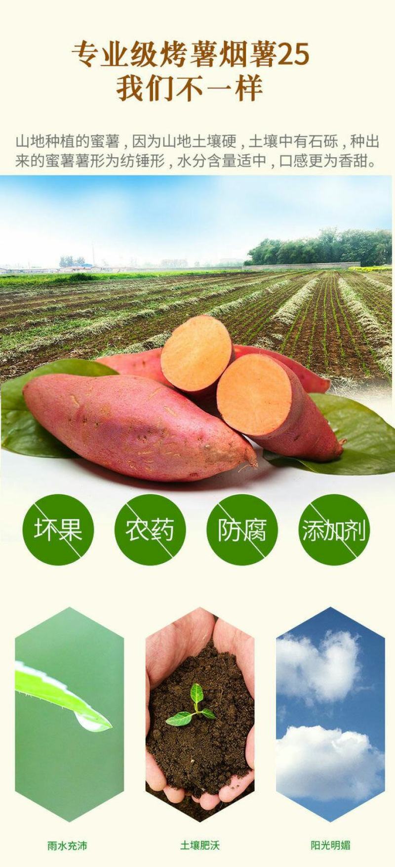 山东蜜薯糖心红薯新鲜带箱10烟薯25红心烤地瓜流油番薯沙