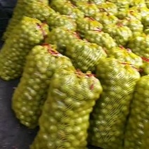 【精品】南太行青皮核桃万亩，产地直销，货源充足，价格合理