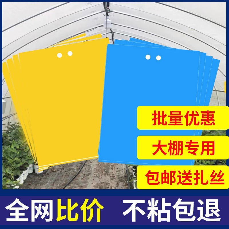 粘虫板黄板双面防水蓝板蓟马诱虫板大棚果园灭虫板家用蚊蝇粘