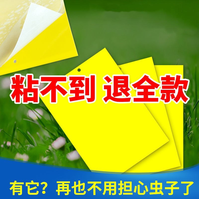 粘虫板黄板双面防水蓝板蓟马诱虫板大棚果园灭虫板家用蚊蝇粘
