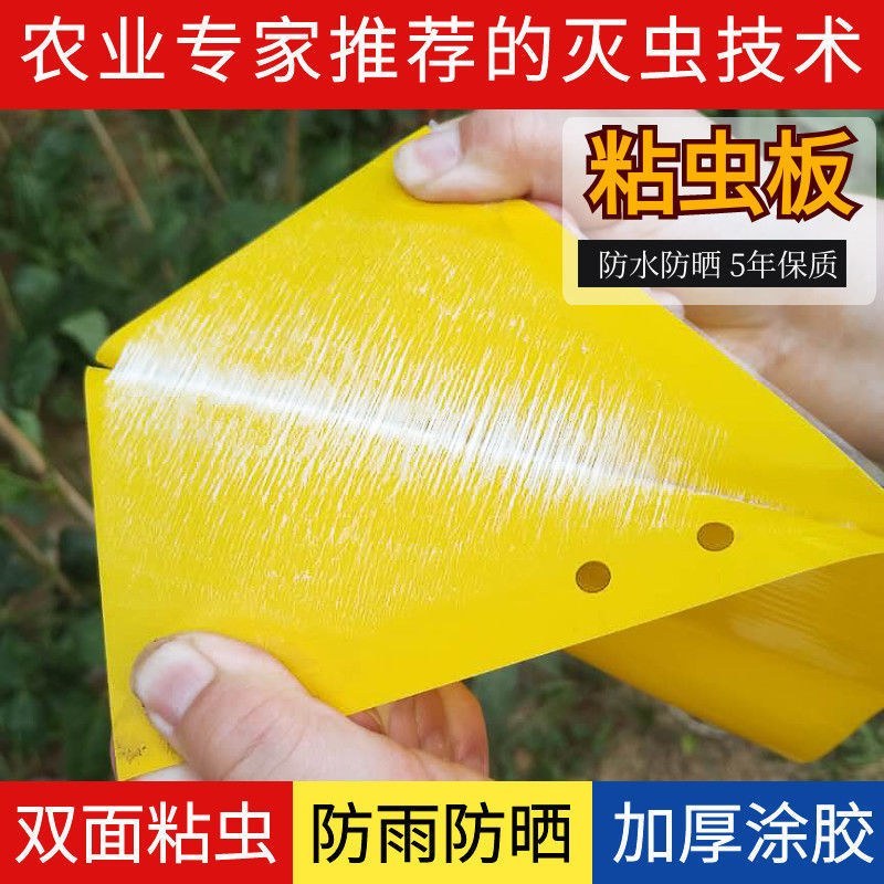 粘虫板黄板双面防水蓝板蓟马诱虫板大棚果园灭虫板家用蚊蝇粘
