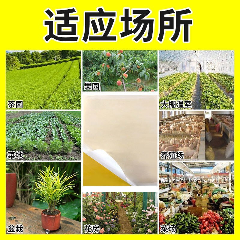 粘虫板黄板双面防水蓝板蓟马诱虫板大棚果园灭虫板家用蚊蝇粘