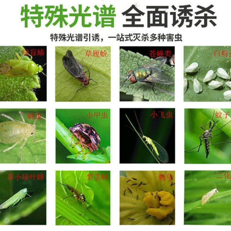 粘虫板黄板双面防水蓝板蓟马诱虫板大棚果园灭虫板家用蚊蝇粘