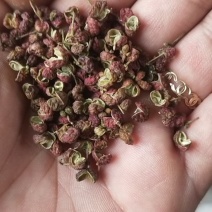 大红袍花椒新上市