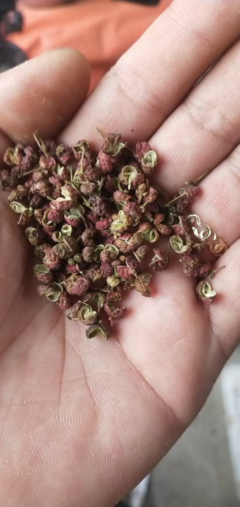 大红袍花椒新上市