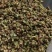 大红袍花椒新上市