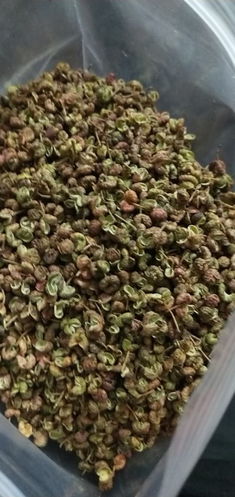 大红袍花椒新上市