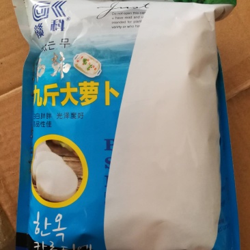 迟花九斤王大萝卜中晚熟耐寒耐抽苔冬性极强
