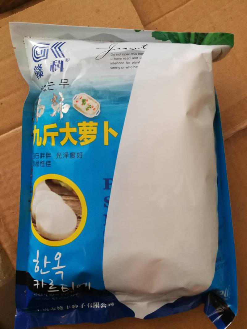 迟花九斤王大萝卜中晚熟耐寒耐抽苔冬性极强